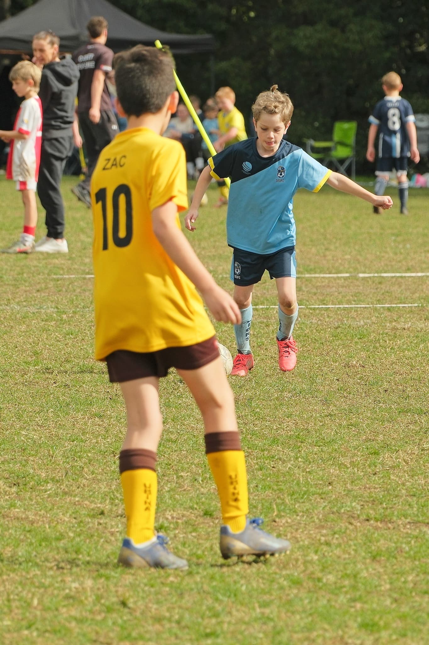 Gala Day background