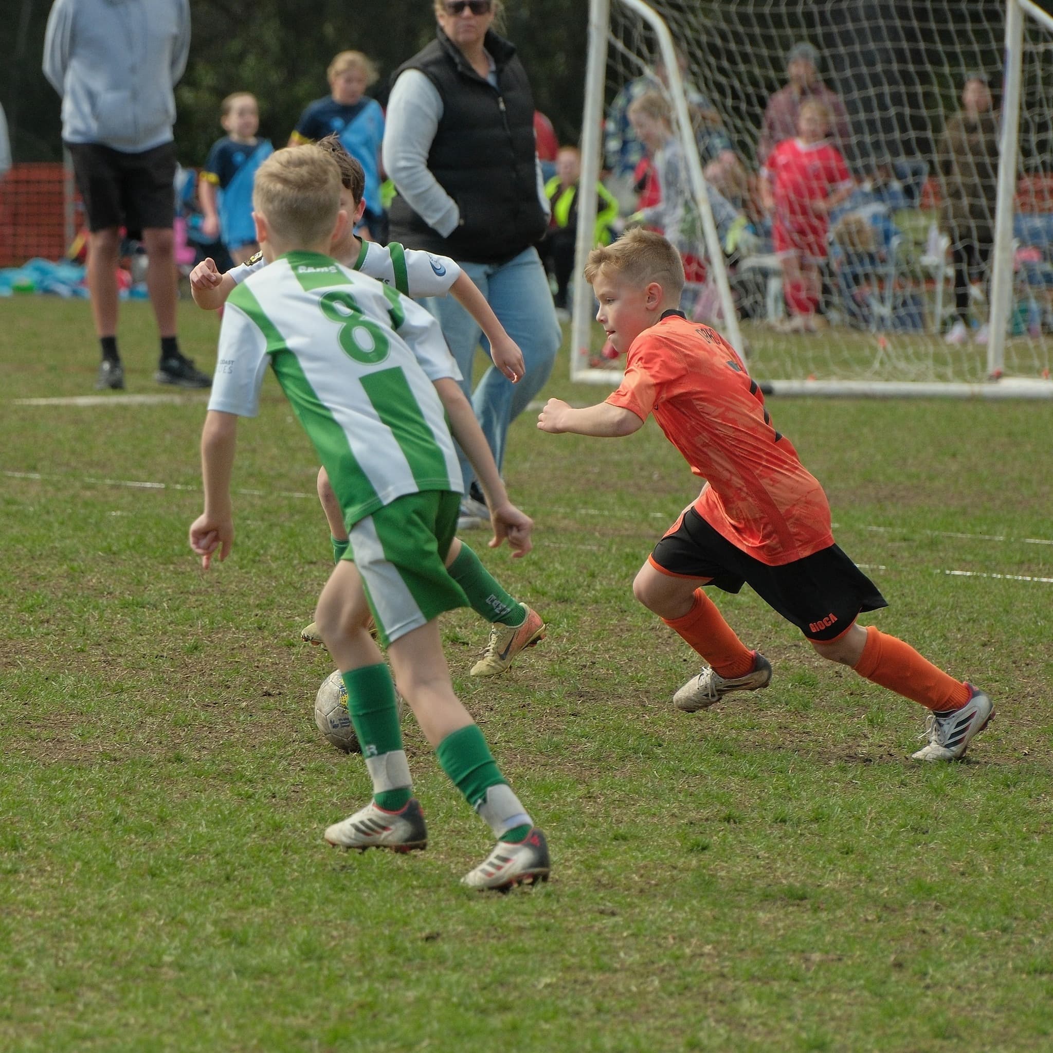 Community Spirit